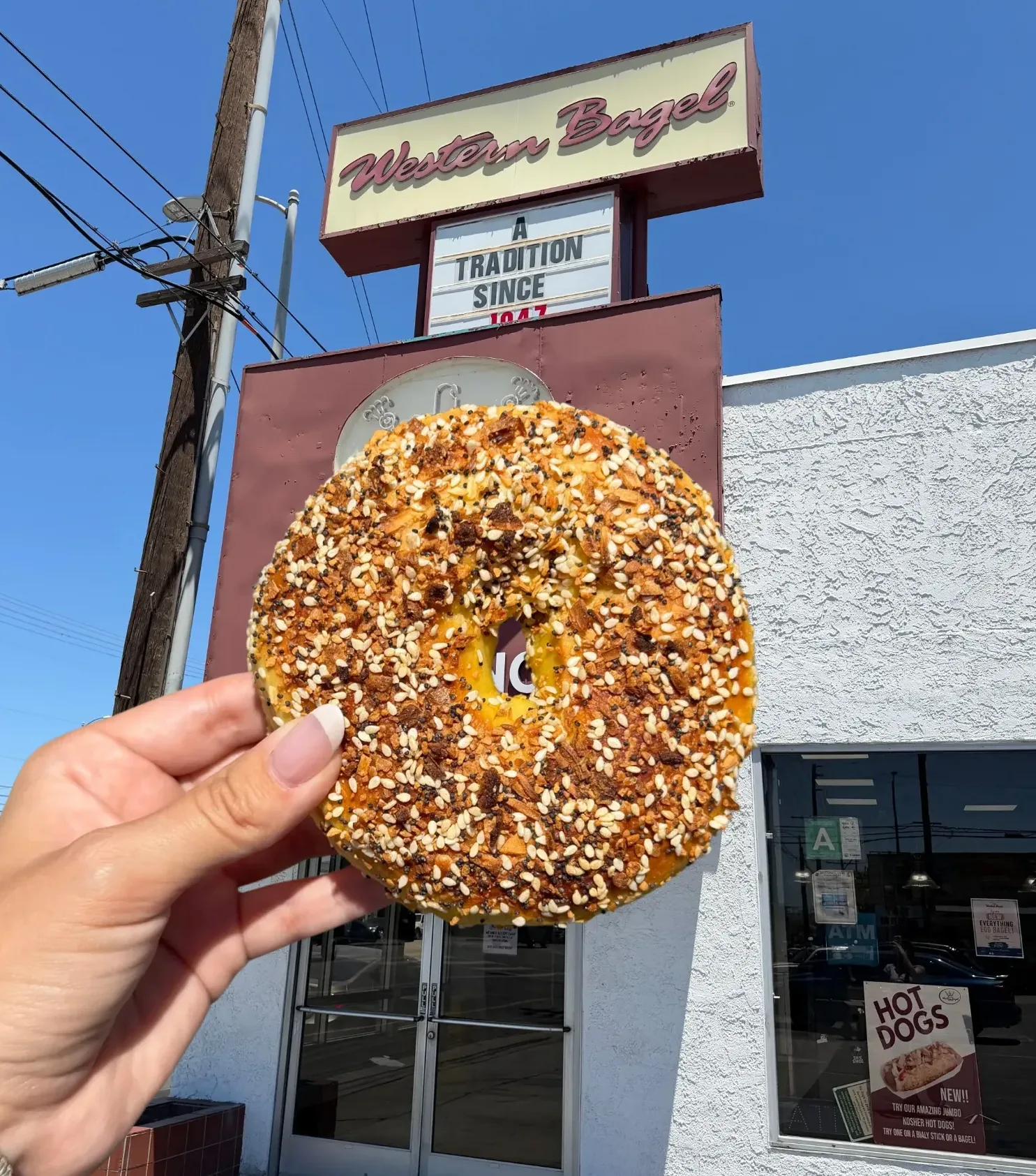NEW! Everything Egg Bagel