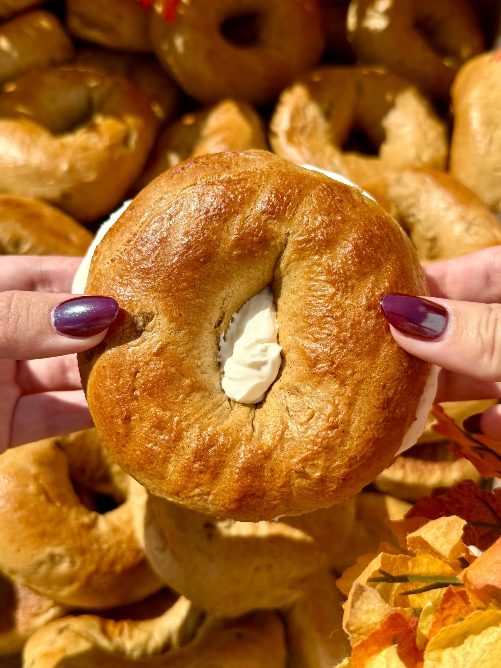 The best fall sandwich